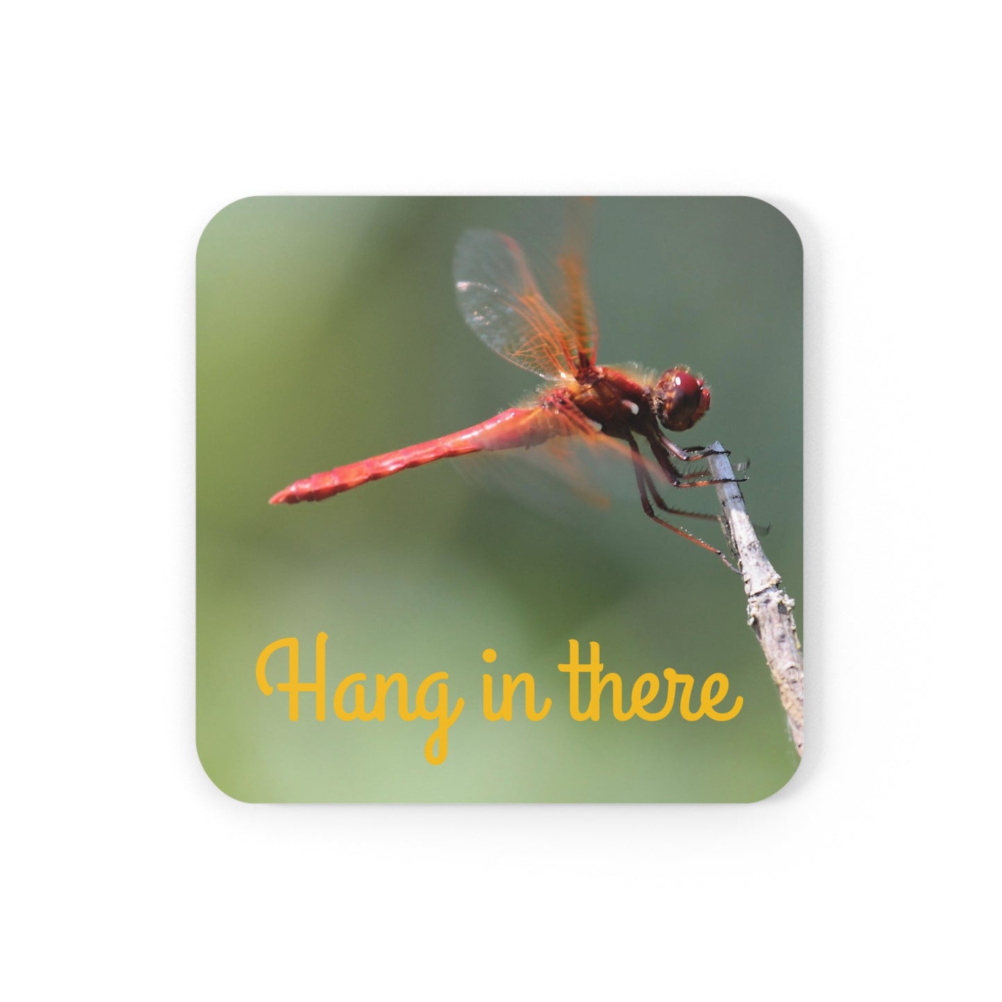 Corkwood Coaster Set 4-pack Red Dragonfly Hang In There